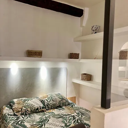 Vieux- Proche Garibaldi Apartment